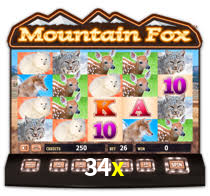 34x app
